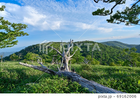 倒木越しに見る大台ヶ原の雄大な景色 奈良の写真素材