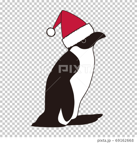 Penguin christmas Penguin christmas 69162668