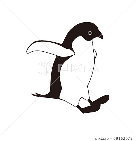 カワイイ ペンギン イラストのイラスト素材