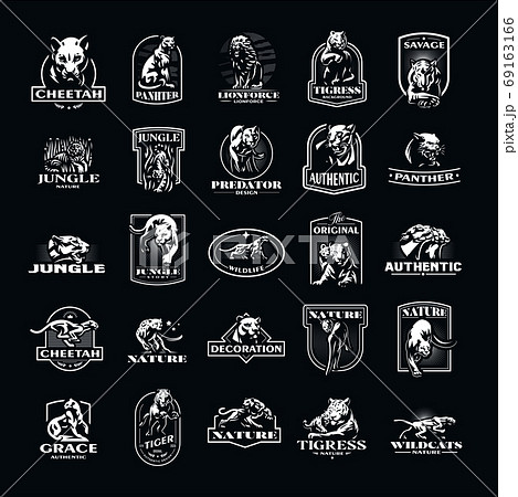 Collection of wild cats 69163166