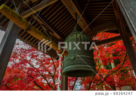 釣鐘と紅葉 釣鐘と紅葉 69164247