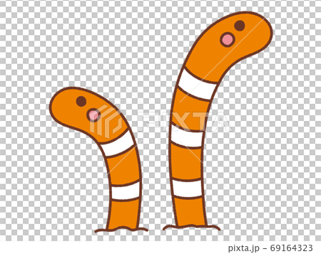 チンアナゴ 2のイラスト素材