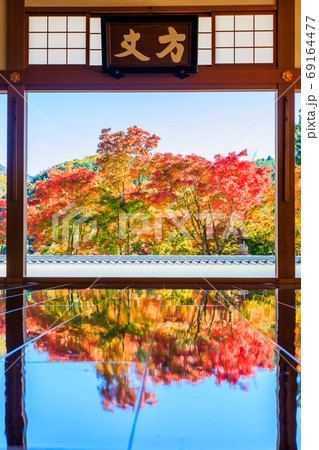 美しい床紅葉 69164477