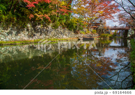 滋賀県近江八幡市　八丁堀の紅葉 69164666