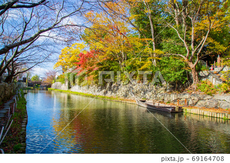 滋賀県近江八幡市 八丁堀の紅葉 滋賀県近江八幡市 八丁堀の紅葉 69164708