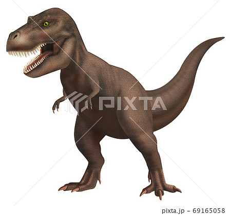 恐竜の画像素材 ピクスタ
