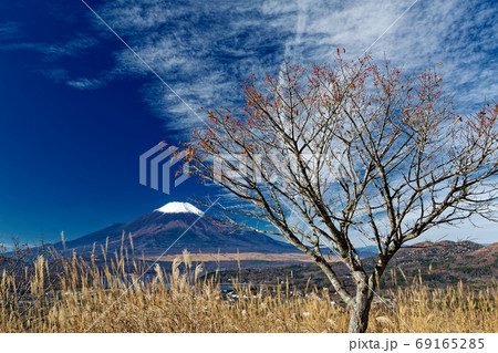 山中湖・高指山から見る富士山 山中湖・高指山から見る富士山 69165285