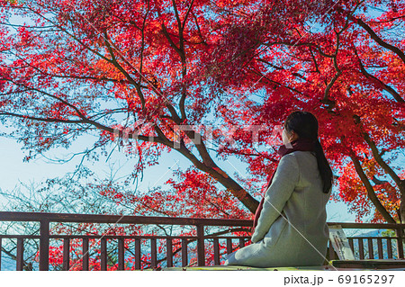 美しい秋の景色を眺める女性の後ろ姿の写真素材