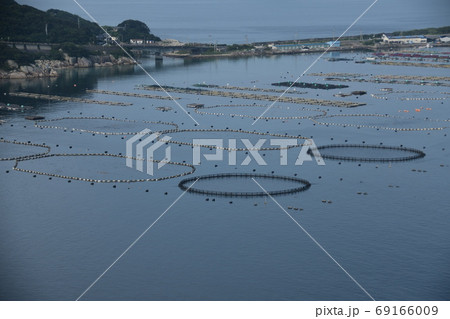 高知宿毛湾のマグロの養殖場 69166009