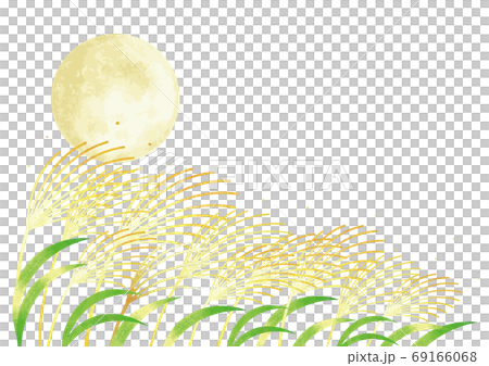 月見 満月とススキの風景イラスト 69166068