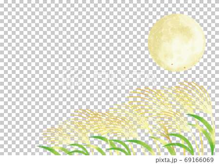 月見 満月とススキの風景イラスト 69166069
