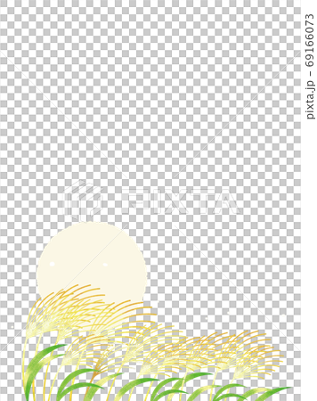 Tsukimi Full moon and Japanese pampas grass landscape illustration Tsukimi Full moon and Japanese pampas grass landscape illustration 69166073