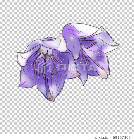 Shiyou Shashin 69167305