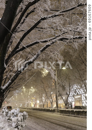 豪雪に見舞われた東京・表参道 豪雪に見舞われた東京・表参道 69167609
