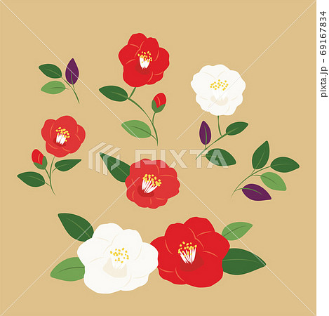 赤と白の椿の花のイラストセットのイラスト素材