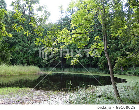 西向沼 市民の森 米沢 西向沼 市民の森 米沢 69168028