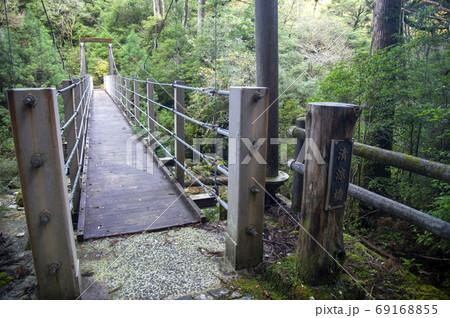 鹿児島県　屋久島のヤクスギランドの渓流に架かる吊り橋 69168855