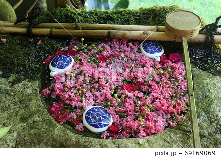 楊谷寺 楊谷寺 69169069