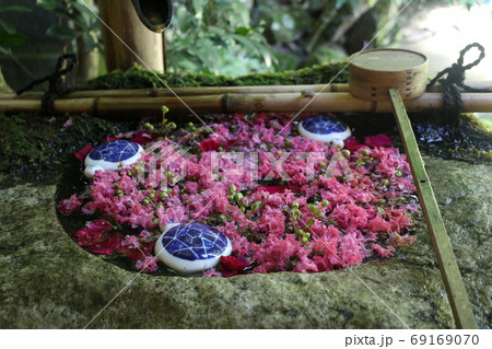 楊谷寺 楊谷寺 69169070