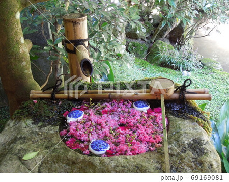 楊谷寺 楊谷寺 69169081