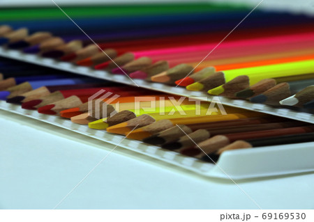 out of focus. Green vegetation in the forest in the autumn morning. 69169530