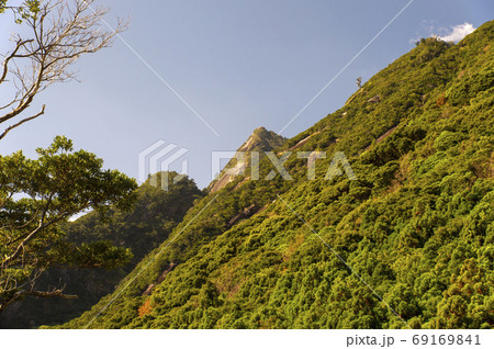 鹿児島県　屋久島の尾之間三山のモッチョム岳 69169841