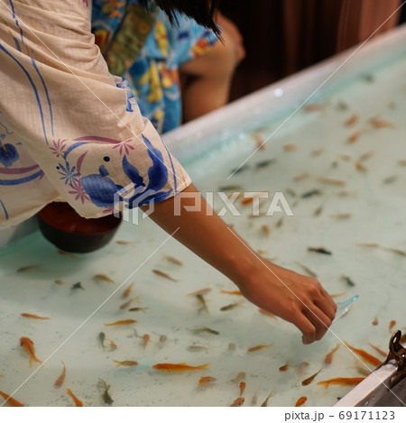 金魚すくい 69171123