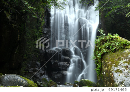 桑の木の滝 69171466