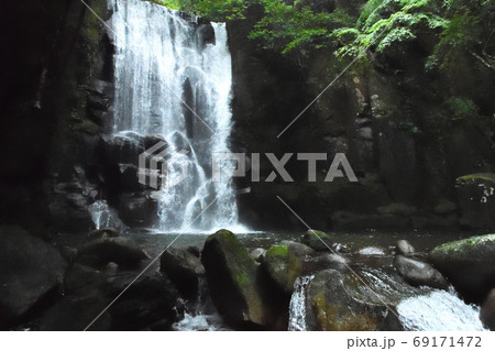 桑の木の滝 桑の木の滝 69171472