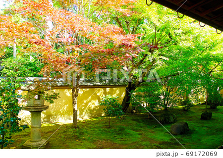 京都 秋の特別公開時の大徳寺興臨院 紅葉がはじまった方丈裏庭の写真素材