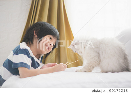 cute Asian child feeding  cats at home 69172218