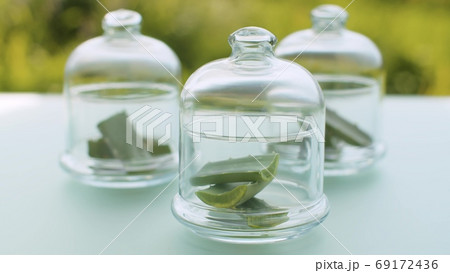 Aloe vera leaves in glass jars 69172436