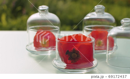 Poppy flowers in glass jars 69172437