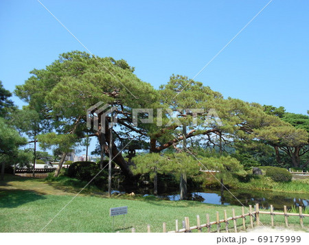 金沢市 兼六園 夏 金沢市 兼六園 夏 69175999