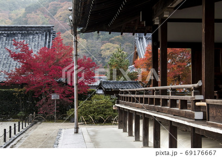 天龍寺の秋 天龍寺の秋 69176667