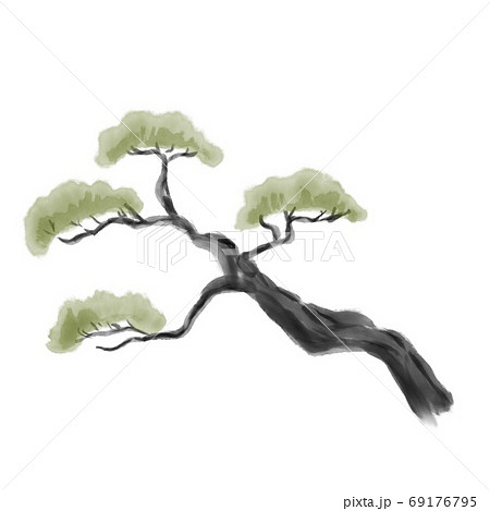 松の木　水墨画風 69176795