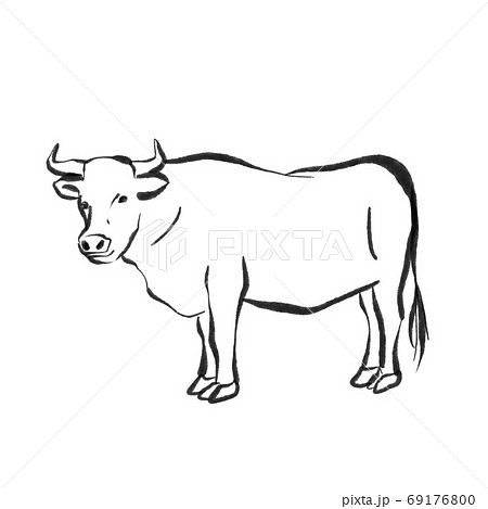 牛 水墨画風のイラスト素材 [69176800] - PIXTA