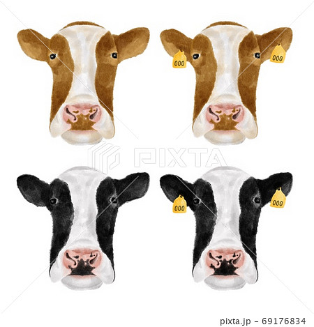 色々な牛の顔セット 水彩風イラストのイラスト素材