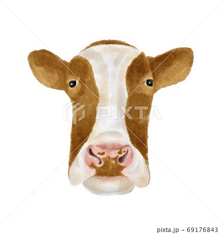 茶色の牛の顔 水彩風イラストのイラスト素材
