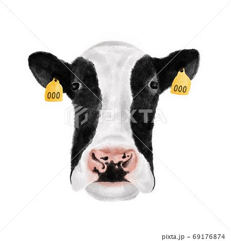 耳にタグをつけた牛の顔 水彩風イラストのイラスト素材