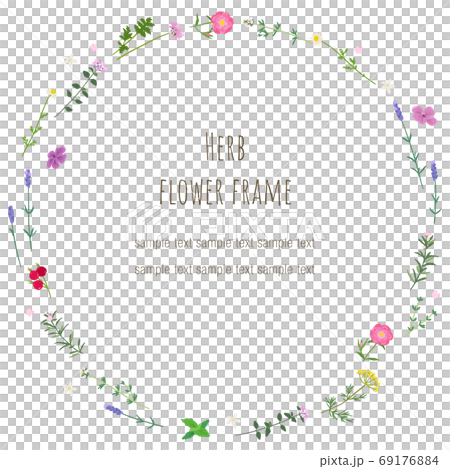 Botanical herb frame 69176884