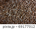 Defocus Abstract  roasted coffee beans background 69177012