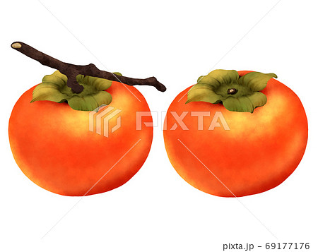 柿 果物 秋 イラストのイラスト素材