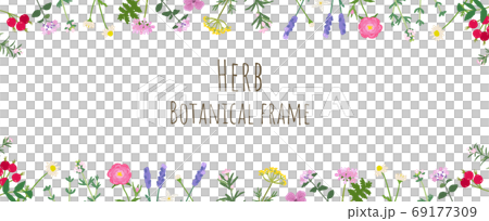 Herbal botanical frame Herbal botanical frame 69177309