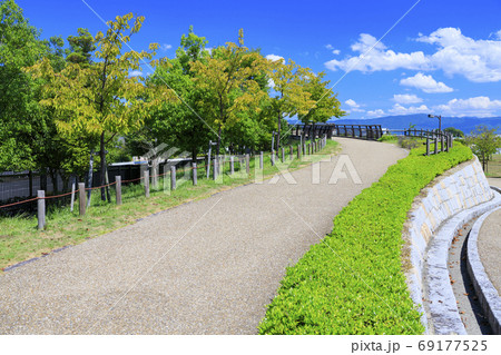 馬見丘陵公園　夏の花々 69177525