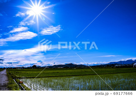 広大な青空にきらめく夏の太陽と一面の水田の写真素材