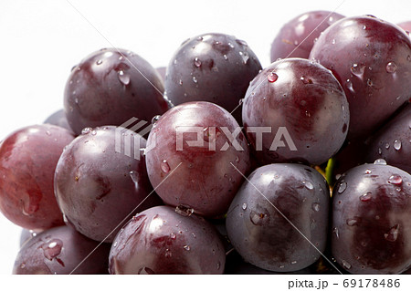 ぶどう(種無しピオーネ)のアップ。 ぶどう(種無しピオーネ)のアップ。 69178486