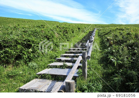 丘へと続く木道 69181056