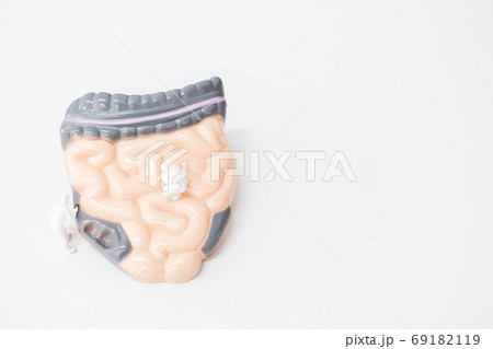 Miniature people: Doctor are researching about intestine problem , Science and Medical Concept 69182119