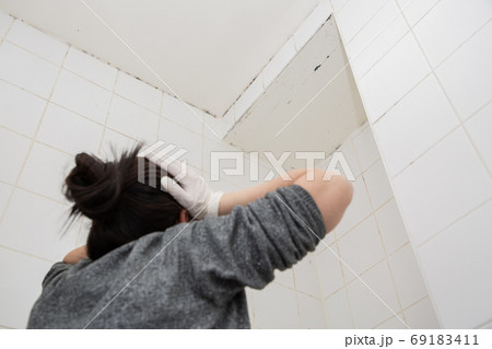 Mold or fungus of the wall in the Shower room Mold or fungus of the wall in the Shower room 69183411